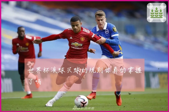 世界杯滚球买球的规则你真的掌握了吗