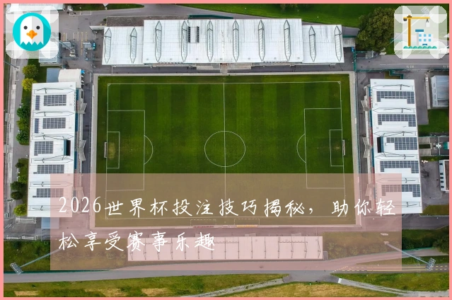 2026世界杯投注技巧揭秘，助你轻松享受赛事乐趣