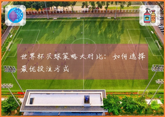 世界杯买球策略大对比：如何选择最优投注方式