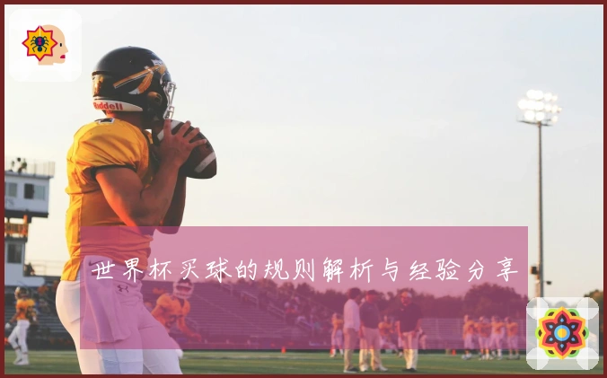 世界杯买球的规则解析与经验分享