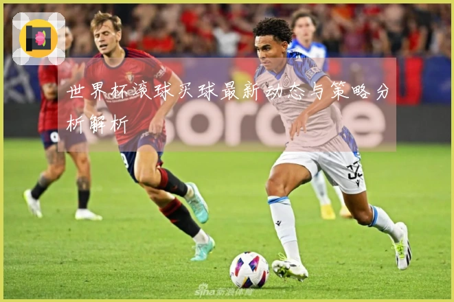 世界杯滚球买球最新动态与策略分析解析