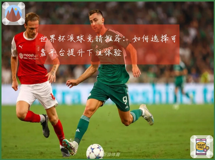 世界杯滚球竞猜推荐：如何选择可靠平台提升下注体验