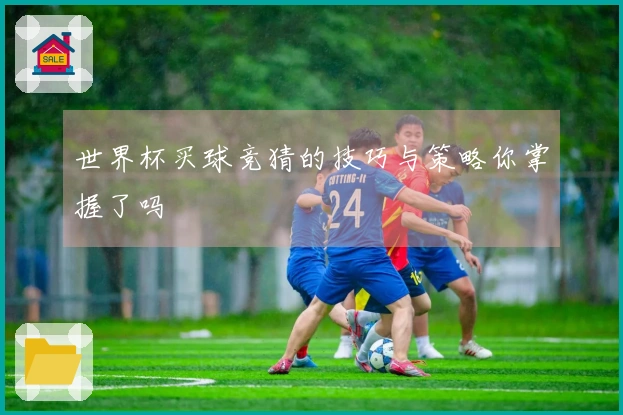 世界杯买球竞猜的技巧与策略你掌握了吗