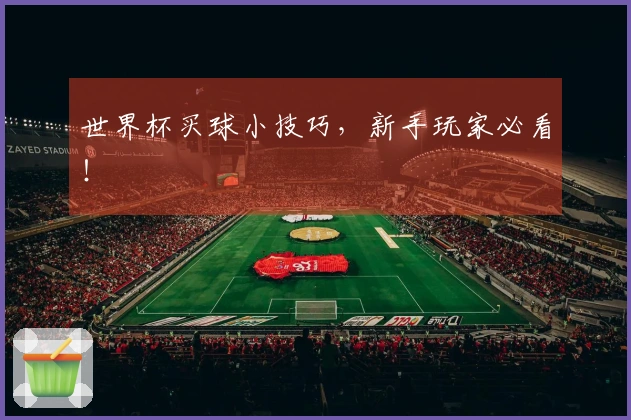 世界杯买球小技巧，新手玩家必看！